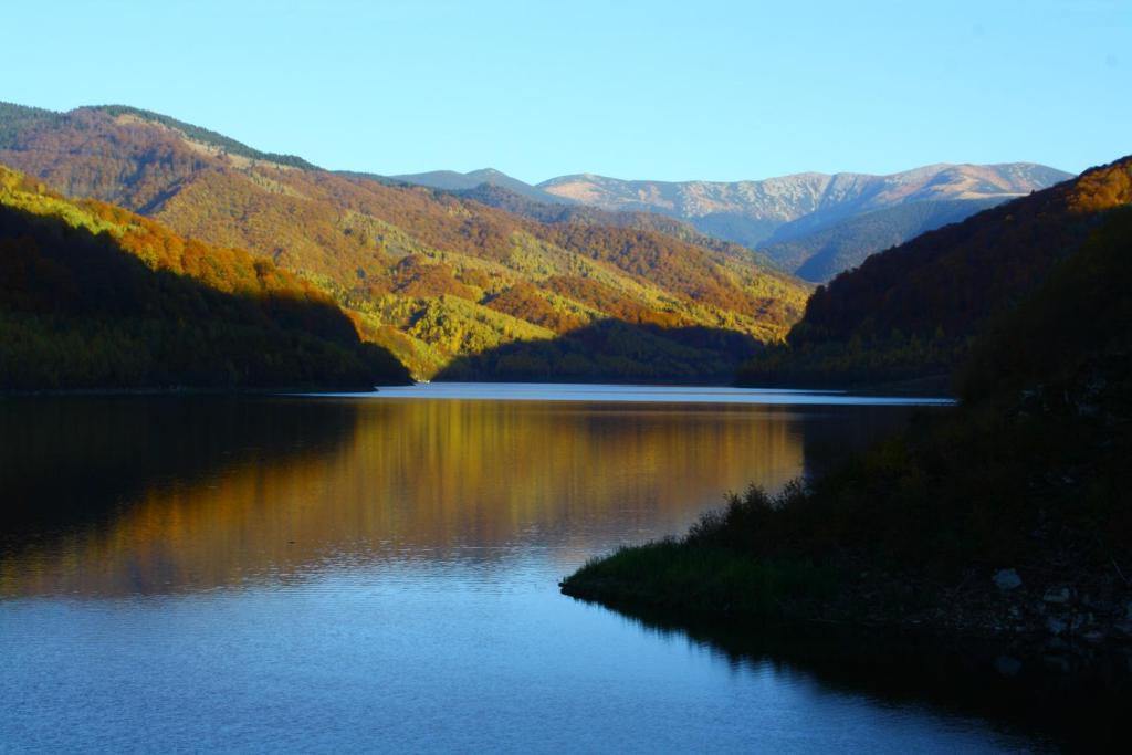 Poiana Mărului Vila Sucu酒店 外观 照片